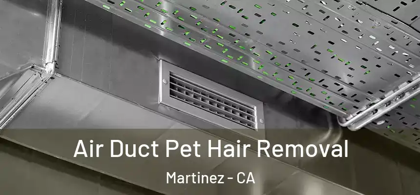  Air Duct Pet Hair Removal Martinez - CA