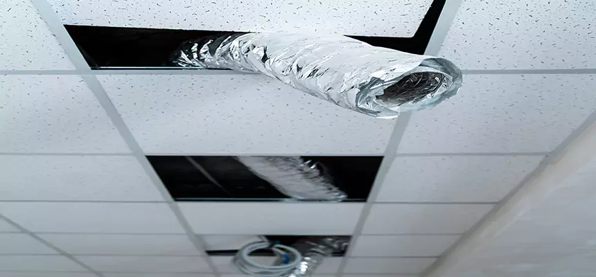 Our Air Duct Pet Hair Removal Services in Martinez, CA