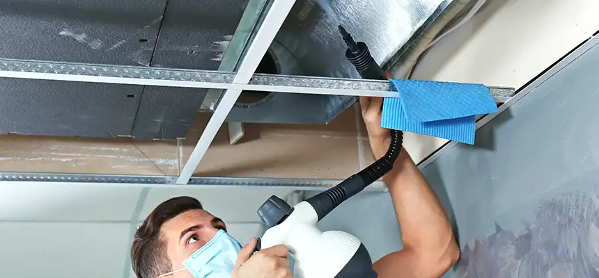 Our Air Duct Rodent Removal Services in Martinez, CA