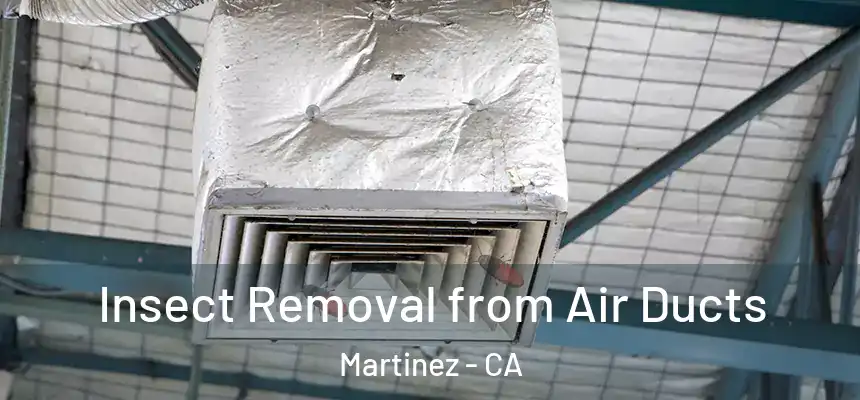  Insect Removal from Air Ducts Martinez - CA
