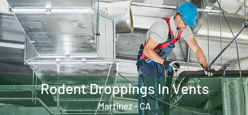 Rodent Droppings In Vents Martinez - CA