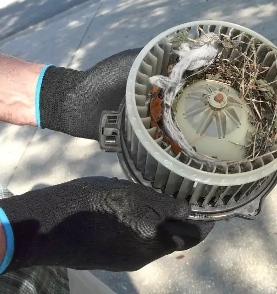 About Air Duct Mice Removal in Martinez, CA