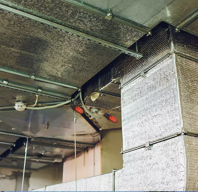 Why Homeowners & Businesses Trust Us in Martinez, CA?